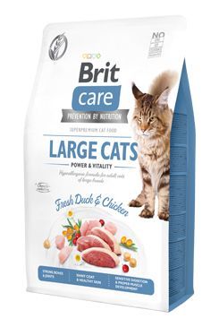 Brit Care Cat GF Large cats Power&Vitality 2kg VAFO Brit Care Cat NEW Praha s.r.o.