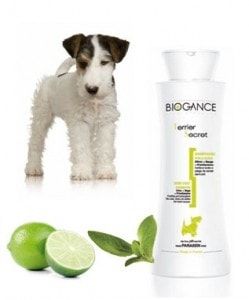 Biogance šampón Terrier secret 250ml