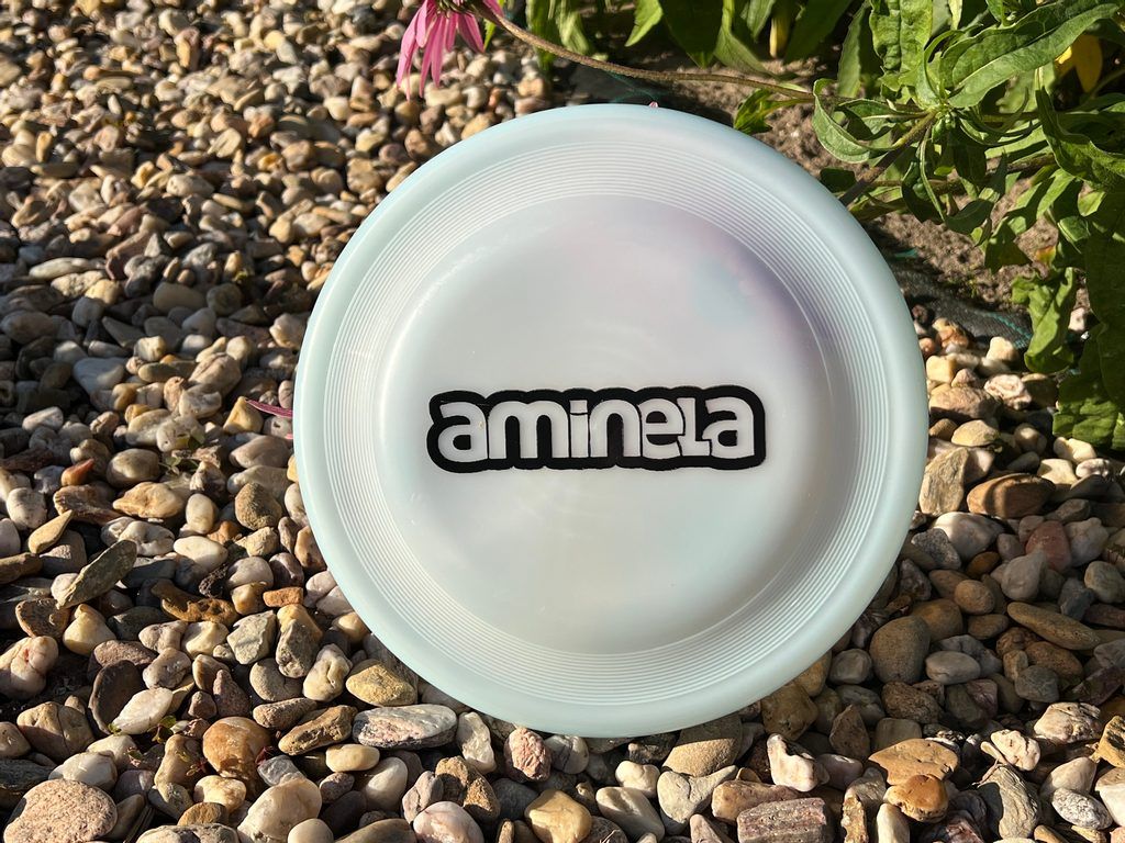 Aminela Frisbee Fastback Flex Light Blue DTWorld