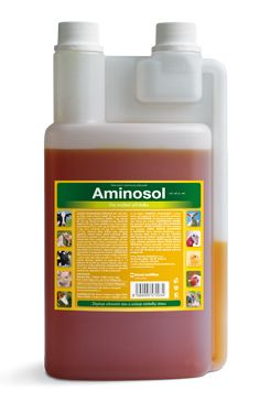 Aminosol sol 1000ml Trouw Nutrition Biofaktory