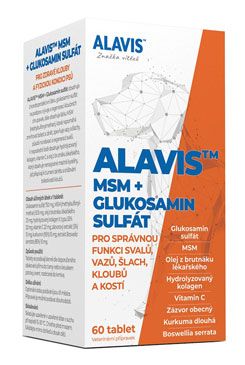 Alavis MSM+Glukosamin sulfát pro psy 60tbl Pharma United