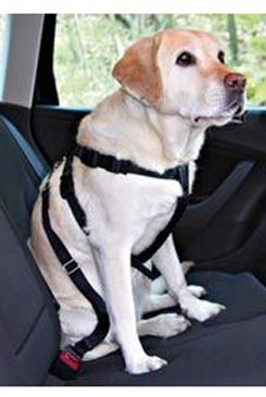 Postroj pes Bezpečnostní do auta L Trixie Trixie GmbH a Co.KG