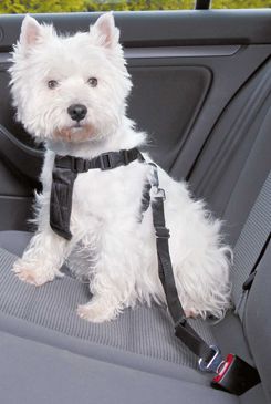 Postroj pes Bezpečnostní do auta S Trixie Trixie GmbH a Co.KG