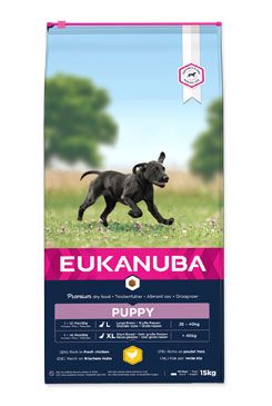 Eukanuba Dog Puppy Large 15kg Eukanuba komerční, Iams
