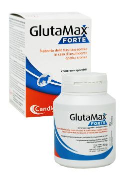 Glutamax forte 40tbl Candioli