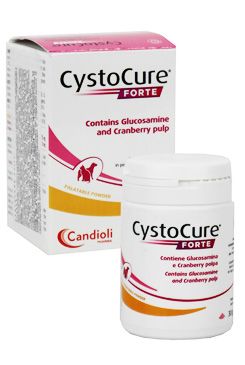 Cystocure 30g powder forte Candioli