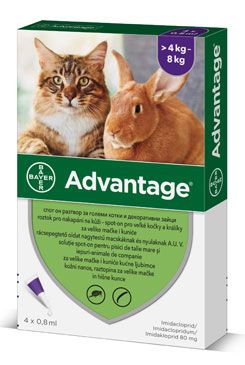 Advantage pro velké kočky a králíky 80mg 4x0,8ml BAYER Animal Health