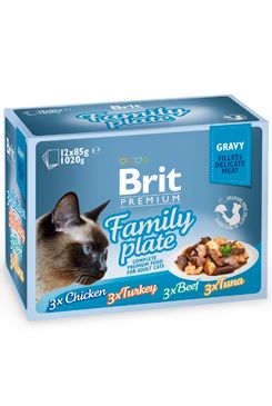 Brit Premium Cat D Fillets in Gravy Family Plate 1020g VAFO Praha s.r.o.