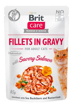Brit Care Cat Fillets in Gravy Savory Salmon 85g VAFO Carnilove Praha s.r.o.