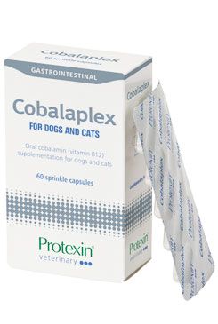 Protexin Cobalaplex pro psy a kočky 60cps Protexin Probiotics LTd.
