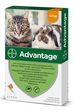 Advantage pro malé kočky a králíky 40mg 4x0,4ml BAYER Animal Health