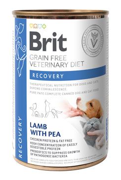 Brit VD Dog+Cat GF konz. Recovery 400g VAFO Brit Veterinární diety Praha s.r.o.