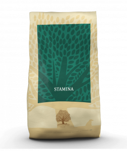 Essential Stamina 3x10kg