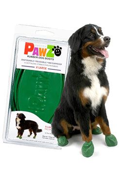 Botička ochranná Pawz kaučuk XL zelená 12ks Pawz Dog Boots LLC