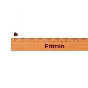 Fitmin Purity Grain Free Adult Mini Beef 2 x 4 kg