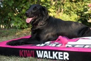 KiwiWalker - ortopedická matrace M (pink/black)